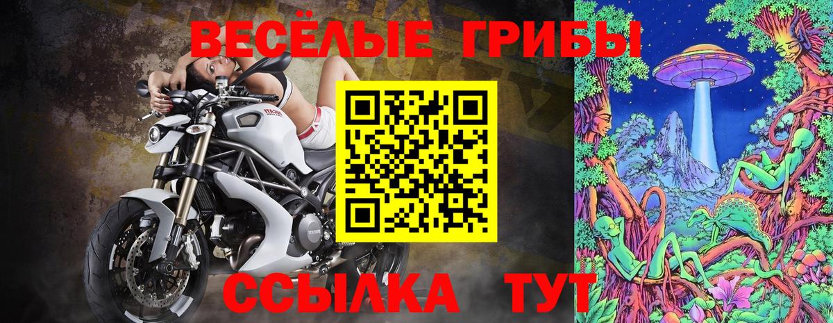 Ревда  Псилоцибиновые грибы прущие грибы  Псилоцибиновые грибы Psilocybe  закладка  Вход с VPN 