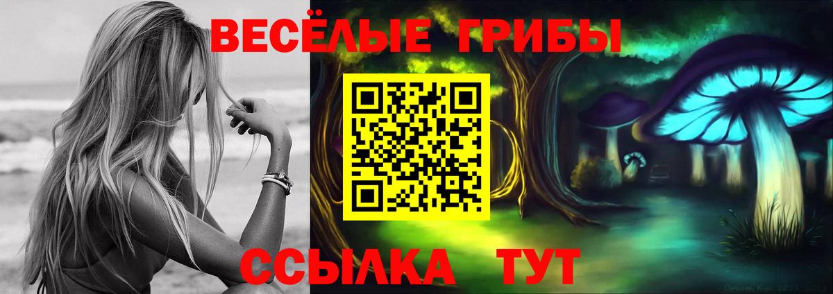Псилоцибиновые грибы прущие грибы Ревда